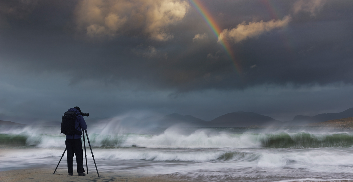 Banner Wild Landscapes Tours